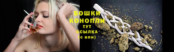 молекула духа Кинешма
