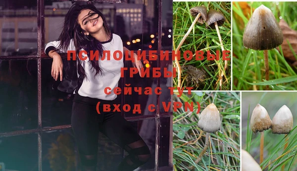 Альфа ПВП Карталы