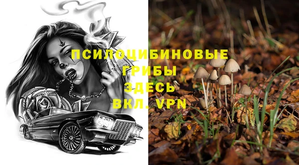 Альфа ПВП Карталы
