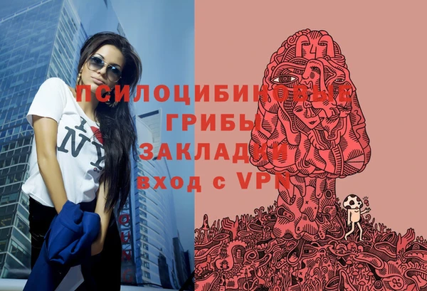 мяу мяу мука Касимов