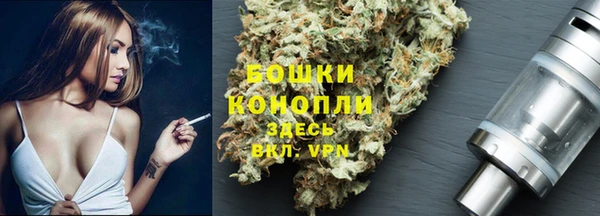крисы Карпинск