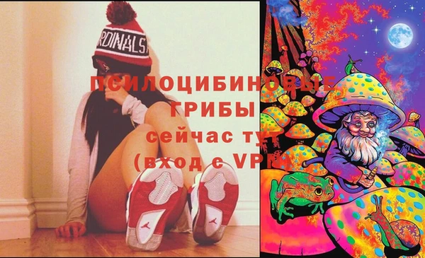 Альфа ПВП Карталы