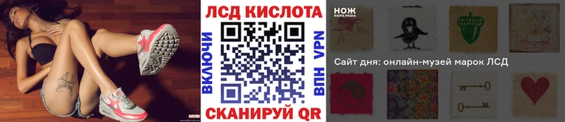 Купить закладки  Новороссийск  Наркотические марки 1500мкг 
