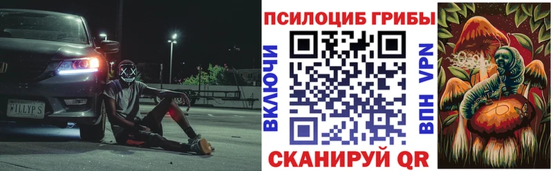 Купить где  Новороссийск  Псилоцибиновые грибы Magic Shrooms 